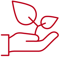 icon Sustainability